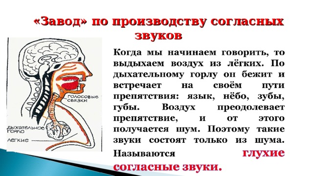 «Завод» по производству согласных звуков