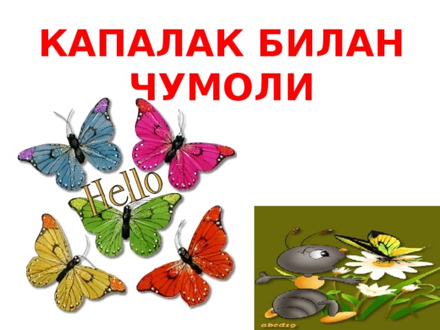 КАПАЛАК БИЛАН ЧУМОЛИ 