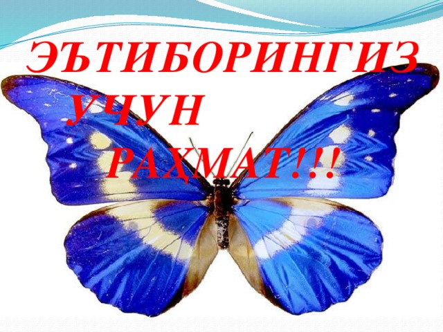 ЭЪТИБОРИНГИЗ УЧУН РАҲМАТ!!! 