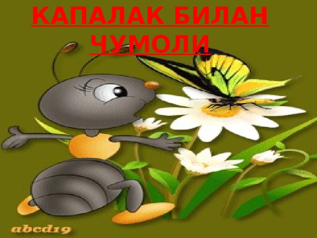 ЯНГИ МАВЗУ:  КАПАЛАК БИЛАН ЧУМОЛИ 