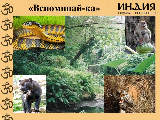 «Вспоминай-ка»