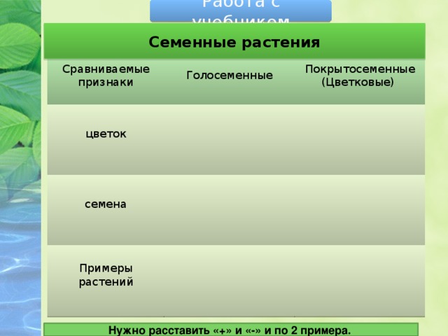 Рассмотрите предложенные образцы растений сравните их