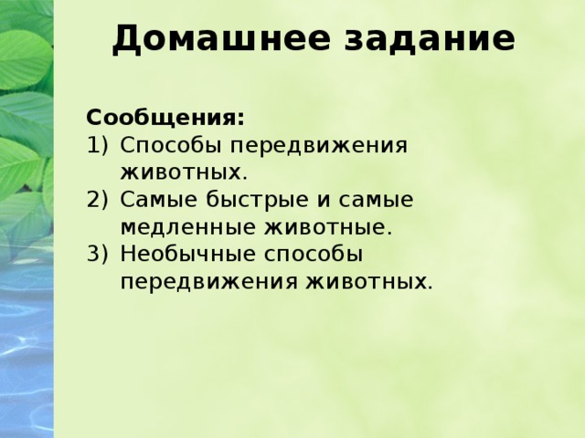 Домашнее задание Сообщения: Способы передвижения животных. Самые быстрые и самые медленные животные. Необычные способы передвижения животных. 