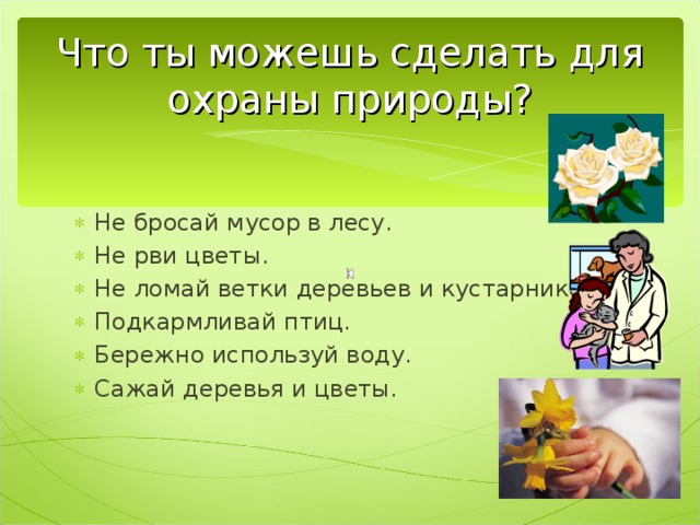 Что ты можешь сделать для охраны природы? Не бросай мусор в лесу. Не рви цветы. Не ломай ветки деревьев и кустарников. Подкармливай птиц. Бережно используй воду. Сажай деревья и цветы. 