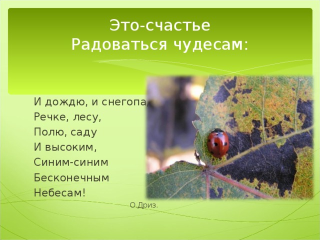 Это-счастье  Радоваться чудесам : И дождю, и снегопаду, Речке, лесу, Полю, саду И высоким, Синим-синим Бесконечным Небесам!    О.Дриз.    О.Дриз.    О.Дриз.    О.Дриз.    О.Дриз. 