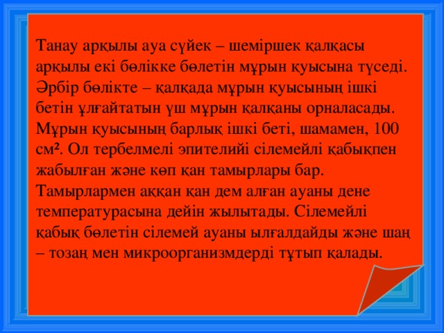 Танау ар қылы ауа сүйек – шеміршек қалқасы арқылы екі бөлікке бөлетін мұрын қуысына түседі. Әрбір бөлікте – қалқада мұрын қуысының ішкі бетін ұлғайтатын үш мұрын қалқаны орналасады. Мұрын қуысының барлық ішкі беті, шамамен, 100 см². Ол тербелмелі эпителийі сілемейлі қабықпен жабылған және көп қан тамырлары бар. Тамырлармен аққан қан дем алған ауаны дене температурасына дейін жылытады. Сілемейлі қабық бөлетін сілемей ауаны ылғалдайды және шаң – тозаң мен микроорганизмдерді тұтып қалады. 