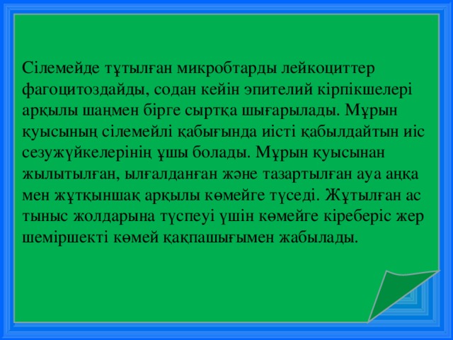 Сілемейде тұтылған микробтарды лейкоциттер фагоцитоздайды, содан кейін эпителий кірпікшелері арқылы шаңмен бірге сыртқа шығарылады. Мұрын қуысының сілемейлі қабығында иісті қабылдайтын иіс сезужүйкелерінің ұшы болады. Мұрын қуысынан жылытылған, ылғалданған және тазартылған ауа аңқа мен жұтқыншақ арқылы көмейге түседі. Жұтылған ас тыныс жолдарына түспеуі үшін көмейге кіреберіс жер шеміршекті көмей қақпашығымен жабылады. 