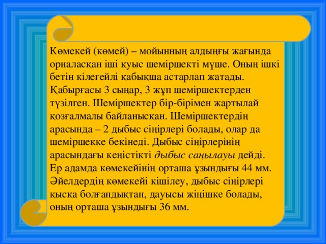 Көмекей (көмей) – мойынның алдыңғы жағында орналасқан іші қуыс шеміршекті мүше. Оның ішкі бетін кілегейлі қабықша астарлап жатады. Қабырғасы 3 сыңар, 3 жұп шеміршектерден түзілген. Шеміршектер бір-бірімен жартылай қозғалмалы байланысқан. Шеміршектердің арасында – 2 дыбыс сіңірлері болады, олар да шеміршекке бекінеді. Дыбыс сіңірлерінің арасындағы кеңістікті дыбыс саңылауы дейді. Ер адамда көмекейінің орташа ұзындығы 44 мм. Әйелдердің көмекейі кішілеу, дыбыс сіңірлері қысқа болғандықтан, дауысы жіңішке болады, оның орташа ұзындығы 36 мм. 