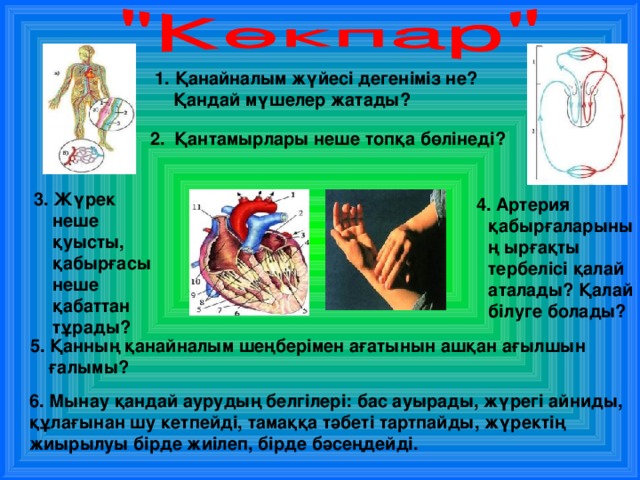 1. Қанайналым жүйесі дегеніміз не? Қандай мүшелер жатады? 2. Қантамырлары неше топқа бөлінеді? 3. Жүрек неше қуысты, қабырғасы неше қабаттан тұрады? 4. Артерия қабырғаларының ырғақты тербелісі қалай аталады? Қалай білуге болады? 5. Қанның қанайналым шеңберімен ағатынын ашқан ағылшын ғалымы? 6. Мынау қандай аурудың белгілері: бас ауырады, жүрегі айниды, құлағынан шу кетпейді, тамаққа тәбеті тартпайды, жүректің жиырылуы бірде жиілеп, бірде бәсеңдейді. 