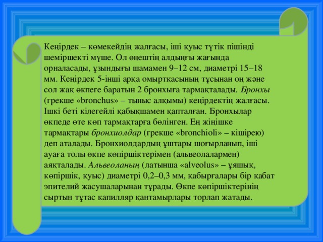 Кеңірдек – көмекейдің жалғасы, іші қуыс түтік пішінді шеміршекті мүше. Ол өңештің алдыңғы жағында орналасады, ұзындығы шамамен 9–12 см, диаметрі 15–18 мм. Кеңірдек 5-інші арқа омыртқасының тұсынан оң және сол жақ өкпеге баратын 2 бронхыға тармақталады. Бронхы (грекше «bronchus» – тыныс алқымы) кеңірдектің жалғасы. Ішкі беті кілегейлі қабықшамен қапталған. Бронхылар өкпеде өте көп тармақтарға бөлінген. Ең жіңішке тармақтары бронхиолдар (грекше «bronchіolі» – кішірею) деп аталады. Бронхиолдардың ұштары шоғырланып, іші ауаға толы өкпе көпіршіктерімен (альвеолалармен) аяқталады. Альвеоланың (латынша «alveolus» – ұяшық, көпіршік, қуыс) диаметрі 0,2–0,3 мм, қабырғалары бір қабат эпителий жасушаларынан тұрады. Өкпе көпіршіктерінің сыртын тұтас капилляр қантамырлары торлап жатады.   