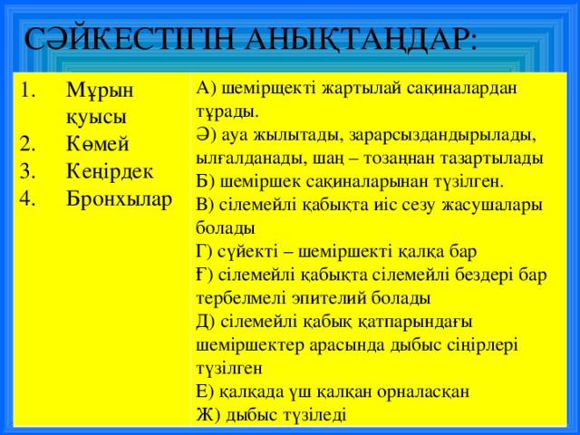 СӘЙКЕСТІГІН АНЫҚТАҢДАР: Мұрын қуысы Көмей Кеңірдек Бронхылар А) шемірщекті жартылай сақиналардан тұрады. Ә ) ауа жылытады, зарарсыздандырылады, ылғалданады, шаң – тозаңнан тазартылады Б ) шеміршек сақиналарынан түзілген. В) сілемейлі қабықта иіс сезу жасушалары болады Г) сүйекті – шеміршекті қалқа бар Ғ ) сілемейлі қабықта сілемейлі бездері бар тербелмелі эпителий болады Д) сілемейлі қабық қатпарындағы шеміршектер арасында дыбыс сіңірлері түзілген Е) қалқада үш қалқан орналасқан Ж) дыбыс түзіледі 