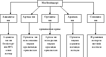 Windows графикалық интерфейсінің иерархиялық жүйесіндегі жоғарғы сатысы не