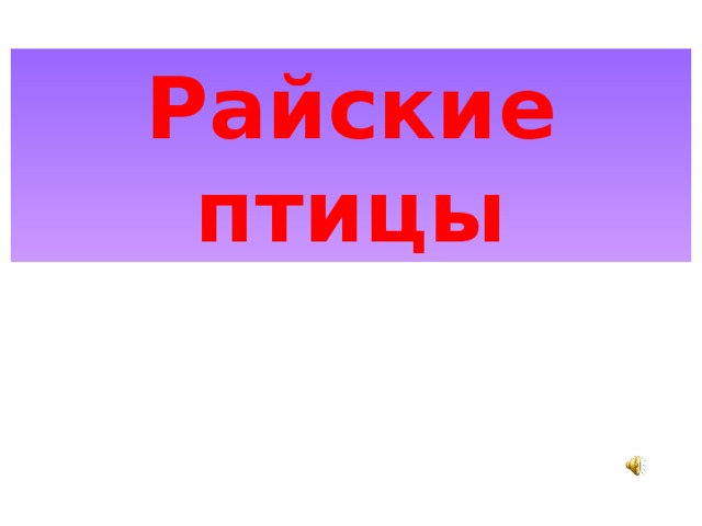 Райские птицы 