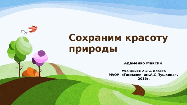 Сохраним красоту природы Адаменко Максим  Учащийся 2 «Б» класса МАОУ «Гимназии им.А.С.Пушкина», 2016г. 