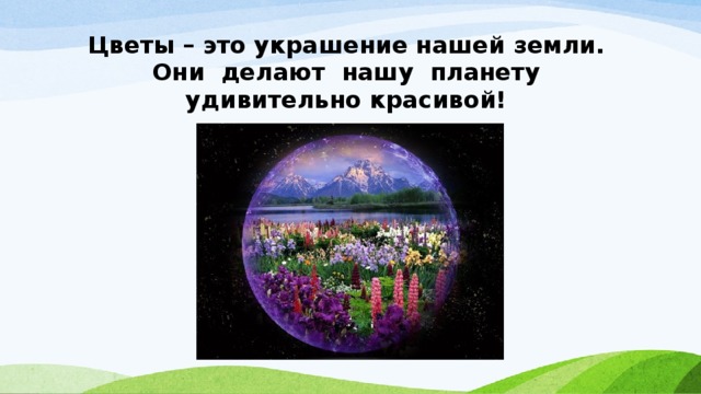 Цветы – это украшение нашей земли.  Они делают нашу планету удивительно красивой!  