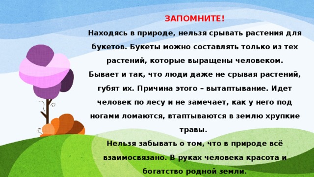 ЗАПОМНИТЕ! Находясь в природе, нельзя срывать растения для букетов. Букеты можно составлять только из тех растений, которые выращены человеком. Бывает и так, что люди даже не срывая растений, губят их. Причина этого – вытаптывание. Идет человек по лесу и не замечает, как у него под ногами ломаются, втаптываются в землю хрупкие травы. Нельзя забывать о том, что в природе всё взаимосвязано. В руках человека красота и богатство родной земли. 