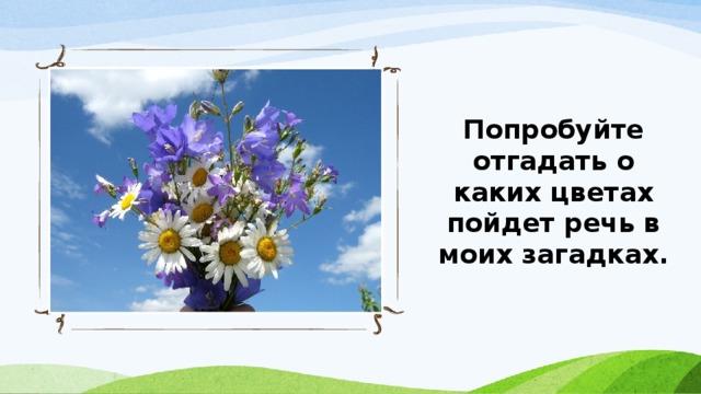 Попробуйте отгадать о каких цветах пойдет речь в моих загадках. 