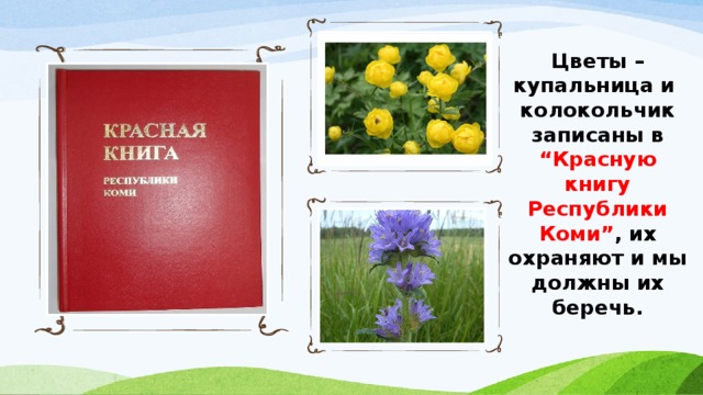 Красная книга республики коми презентация