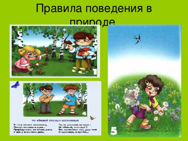 Правила поведения в природе 