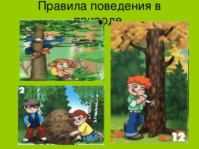 Правила поведения в природе 