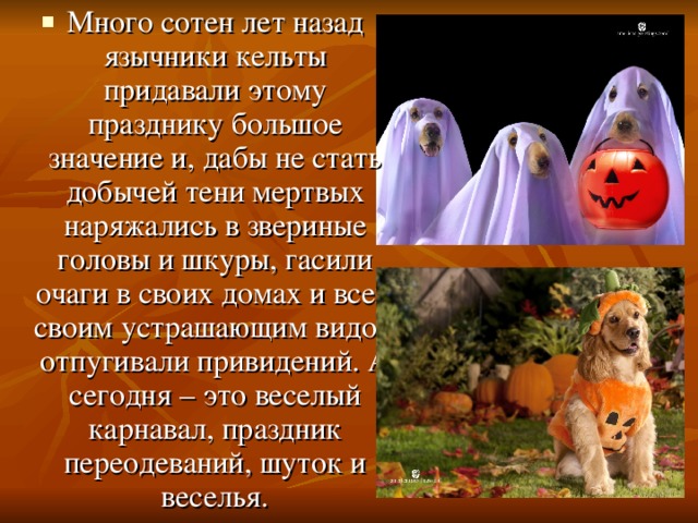 Много сотен лет назад язычники кельты придавали этому празднику большое значение и, дабы не стать добычей тени мертвых наряжались в звериные головы и шкуры, гасили очаги в своих домах и всем своим устрашающим видом отпугивали привидений. А сегодня – это веселый карнавал, праздник переодеваний, шуток и веселья. 