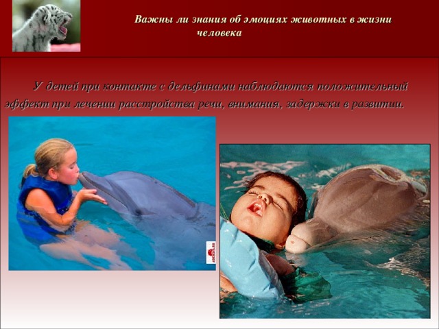   Важны ли знания об эмоциях животных в жизни человека   У детей при контакте с дельфинами наблюдаются положительный эффект при лечении расстройства речи, внимания, задержки в развитии. 