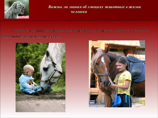   Важны ли знания об эмоциях животных в жизни человека   Лошади хорошо помогают при депрессиях, детских страхах и испугах, повышают уверенность в себе.  
