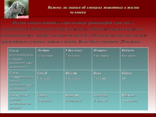   Важны ли знания об эмоциях животных в жизни человека  Изучив эмоции животных при помощи фотографий и рисунков, литературы я поделилась своими знаниями с одноклассниками и провела повторный опрос, чтобы узнать что они для себя усвоили и как они смогут применять полученные знания в жизни. Всего было опрошено 28 человек.  Какие положительные эмоции вызывают у вас животные? Любовь 11 человек Какие отрицательные эмоции вызывают у вас животные? Какие новые эмоции животных вы знаете? Стыд 8 человек Удивление 7 человек Интерес 4 человека Страх 5 человек Ярость 3 человека Радость 6 человек Вина 7 человек Интерес 4 человека Агрессия 9 человек Страх 10 Радость 10 человек 