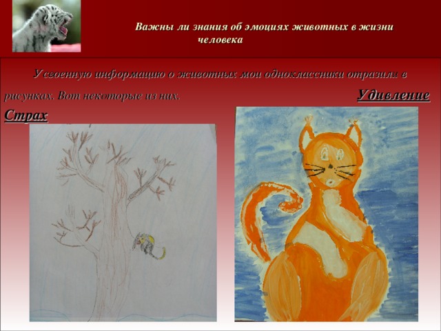   Важны ли знания об эмоциях животных в жизни человека  Усвоенную информацию о животных мои одноклассники отразили в рисунках. Вот некоторые из них.     Удивление Страх       
