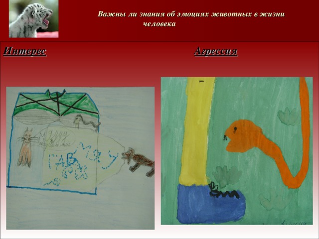   Важны ли знания об эмоциях животных в жизни человека Интерес      Агрессия  