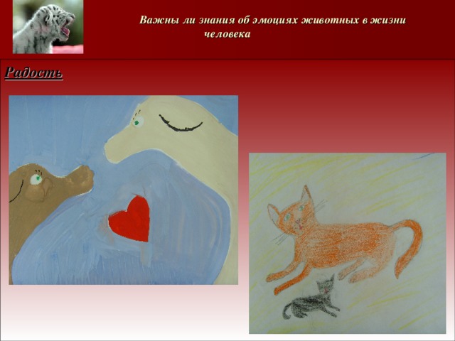  Важны ли знания об эмоциях животных в жизни человека Радость 