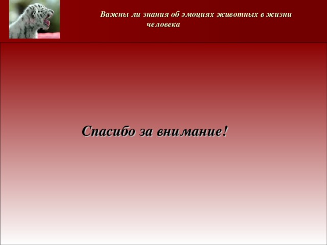   Важны ли знания об эмоциях животных в жизни человека     Спасибо за внимание!       