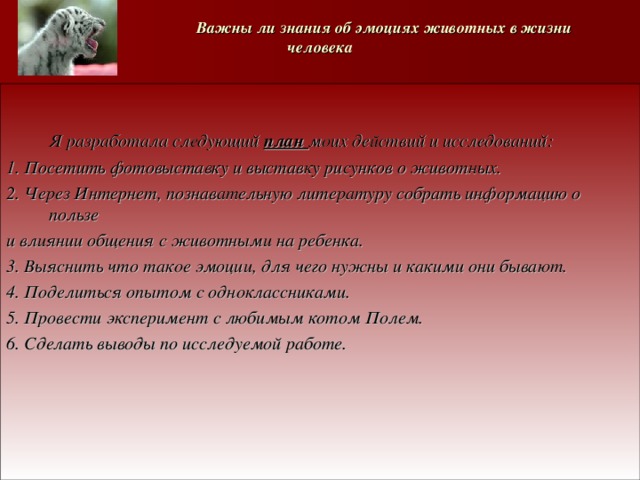   Важны ли знания об эмоциях животных в жизни человека    Я разработала следующий план моих действий и исследований: 1. Посетить фотовыставку и выставку рисунков о животных. 2. Через Интернет, познавательную литературу собрать информацию о пользе и влиянии общения с животными на ребенка. 3. Выяснить что такое эмоции, для чего нужны и какими они бывают. 4. Поделиться опытом с одноклассниками. 5. Провести эксперимент с любимым котом Полем. 6. Сделать выводы по исследуемой работе.   