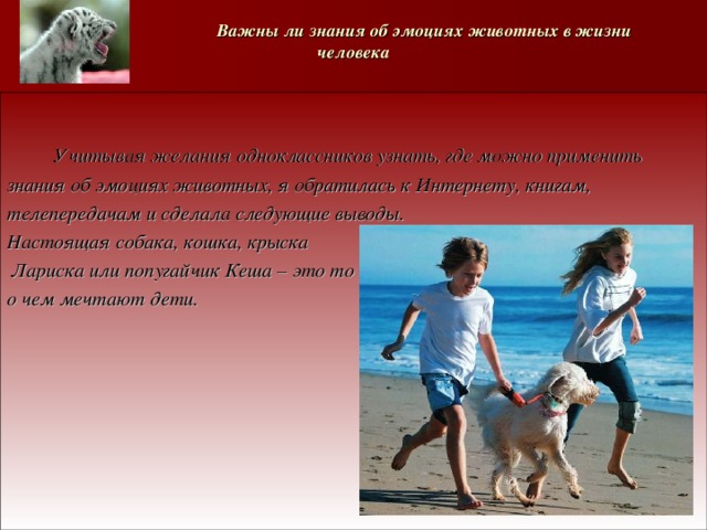   Важны ли знания об эмоциях животных в жизни человека    Учитывая желания одноклассников узнать, где можно  применить знания об эмоциях животных, я обратилась к Интернету, книгам, телепередачам и сделала следующие выводы. Настоящая собака, кошка, крыска  Лариска или попугайчик Кеша – это то о чем мечтают дети.   