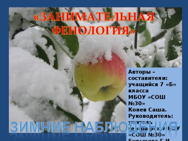 Авторы – составители: учащийся 7 «Б» класса МБОУ «СОШ №30» Конев Саша. Руководитель: учитель географии МБОУ «СОШ №30» Булычева Г.И. 