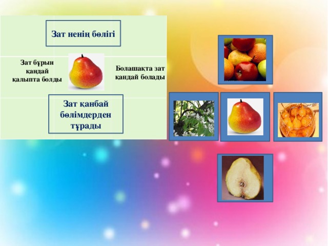 Зат ненің бөлігі Зат бұрын қандай қалыпта болды Болашақта зат қандай болады   Зат қанбай бөлімдерден тұрады 
