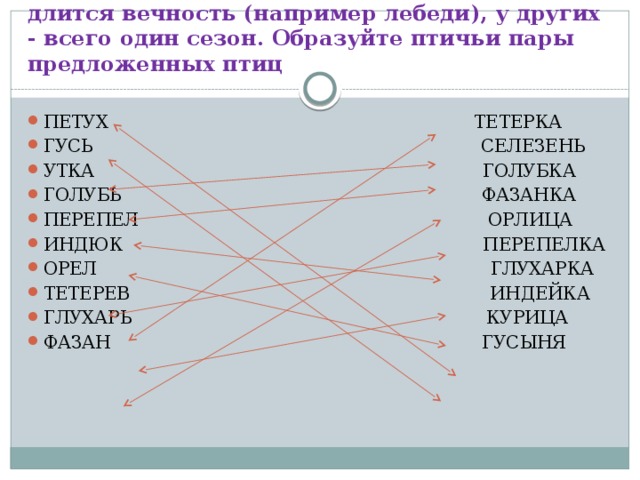 С приходом весны многие птицы образуют пары. У каких-то птиц “брачный союз” длится вечность (например лебеди), у других - всего один сезон. Образуйте птичьи пары предложенных птиц ПЕТУХ ТЕТЕРКА ГУСЬ СЕЛЕЗЕНЬ УТКА ГОЛУБКА ГОЛУБЬ ФАЗАНКА ПЕРЕПЕЛ ОРЛИЦА ИНДЮК ПЕРЕПЕЛКА ОРЕЛ ГЛУХАРКА ТЕТЕРЕВ ИНДЕЙКА ГЛУХАРЬ КУРИЦА ФАЗАН ГУСЫНЯ 