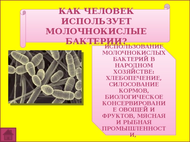 Составьте схему иллюстрирующую использование бактерий в хозяйственной деятельности человека