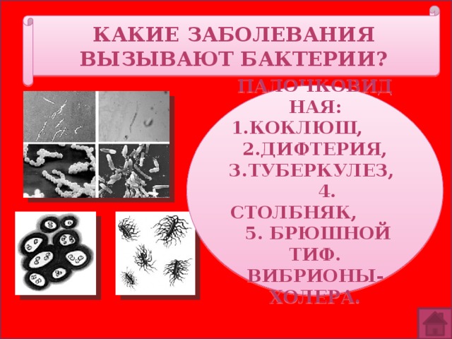 Какие заболевания вызывают бактерии? Палочковидная: 1.Коклюш, 2.Дифтерия, 3.Туберкулез, 4. Столбняк, 5. Брюшной тиф. Вибрионы- Холера. 