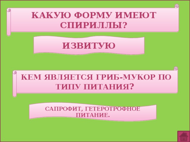 Какую форму имеют спириллы? извитую Кем является гриб-мукор по типу питания ? Сапрофит, гетеротрофное питание. 