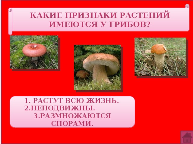 Какие признаки растений имеются у грибов? 1. Растут всю жизнь.  2.неподвижны.    3.размножаются спорами. 