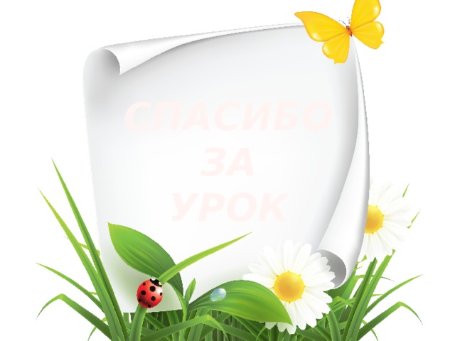 СПАСИБО ЗА УРОК  