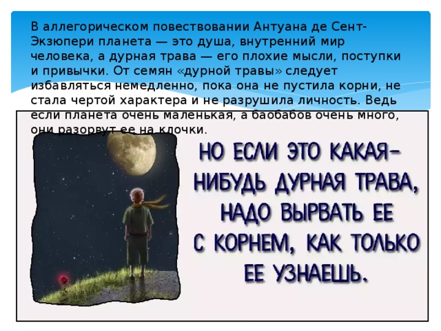 В аллегорическом повествовании Антуана де Сент-Экзюпери планета — это душа, внутренний мир человека, а дурная трава — его плохие мысли, поступки и привычки. От семян «дурной травы» следует избавляться немедленно, пока она не пустила корни, не стала чертой характера и не разрушила личность. Ведь если планета очень маленькая, а баобабов очень много, они разорвут ее на клочки. 