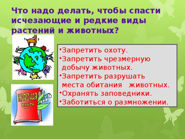Что надо делать, чтобы спасти исчезающие и редкие виды  растений и животных? Запретить охоту. Запретить чрезмерную  добычу животных. Запретить разрушать  места обитания животных. Охранять заповедники. Заботиться о размножении. 