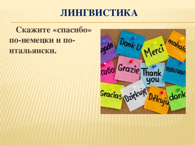 Лингвистика  Скажите «спасибо» по-немецки и по-итальянски.