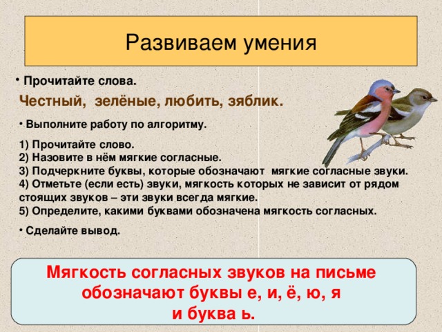 Способы обозначения мягкости согласных звуков на письме