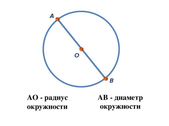 Как нарисовать диаметр окружности