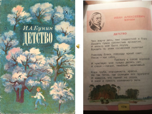 Бунин детство стихотворение. Стихотворение Ивана Алексеевича Бунина детство. Иван Алексеевич Бунин стихотворение детство. Иван Бунин детство стих. Иллюстрация Иван Алексеевич Бунин детство.