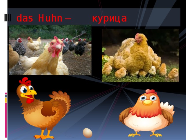 das Huhn – курица   