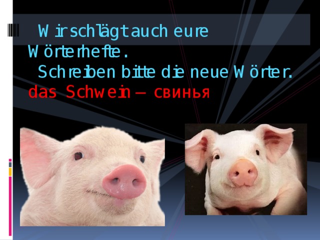  Wir schlägt auch eure Wörterhefte.  Schreiben bitte die neue Wörter.  das Schwein – свинья       